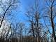 13721 W 167th, Homer Glen, IL 60491