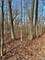13721 W 167th, Homer Glen, IL 60491