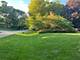 127 N Maple, Bloomingdale, IL 60108