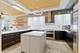 1615 N Paulina, Chicago, IL 60622