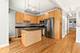 6703 N Bosworth Unit A1, Chicago, IL 60626