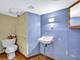 14431 S Lowe, Riverdale, IL 60827