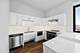 1900 W Lawrence Unit 309, Chicago, IL 60640