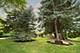 9234 S Ridgeland, Oak Lawn, IL 60453