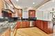 910 W Roscoe Unit 3, Chicago, IL 60657