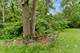 431 Connor, Lockport, IL 60441