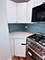 2624 W Attrill Unit 1, Chicago, IL 60647