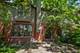 3305 Old Glenview Unit B, Wilmette, IL 60091