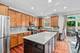 3060 Chalkstone, Elgin, IL 60124