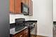 233 E 13th Unit 1308, Chicago, IL 60605