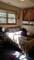 1424 W Division Unit 2, Chicago, IL 60642