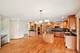 10556 Great Egret, Orland Park, IL 60467