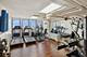 100 E Walton Unit 16E, Chicago, IL 60611