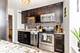 70 W Burton Unit 2701, Chicago, IL 60610