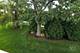 654 Woodglen, Lemont, IL 60439