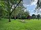 16217 S Gougar, Homer Glen, IL 60491