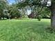 16217 S Gougar, Homer Glen, IL 60491