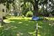24406 W Grant, Marengo, IL 60152