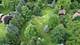 26025 Hermann, Antioch, IL 60002