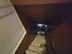 8243 S May, Chicago, IL 60620