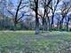 12390 Oakcrest, Huntley, IL 60142