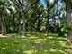12390 Oakcrest, Huntley, IL 60142