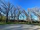 12390 Oakcrest, Huntley, IL 60142