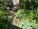 212 E Gladys, Elmhurst, IL 60126
