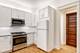 229 S Oak Park Unit 1, Oak Park, IL 60302