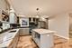 817 S Cuyler, Oak Park, IL 60304