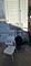 5012 S Keeler, Chicago, IL 60632