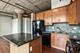 1516 S Wabash Unit 405, Chicago, IL 60605