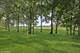 28630 N Sky Crest, Mundelein, IL 60060