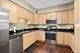 132 W Johnson Unit 207, Palatine, IL 60067