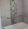 11641 S Campbell, Chicago, IL 60655