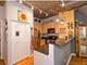 1000 W 15th Unit 216, Chicago, IL 60608