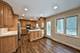 1154 W Mallard, Palatine, IL 60067