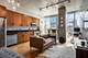 1720 S Michigan Unit 407, Chicago, IL 60616