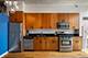 1720 S Michigan Unit 407, Chicago, IL 60616