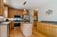 414 Glacier, Streamwood, IL 60107
