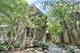 2047 Orrington, Evanston, IL 60201
