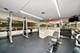 155 N Harbor Unit 4702, Chicago, IL 60601