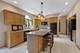 10597 Yankee Ridge, Frankfort, IL 60423