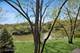 1615 Maple Unit 1L-2L, Lisle, IL 60532