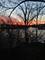 1615 Maple Unit 1L-2L, Lisle, IL 60532