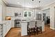 4245 N Leavitt, Chicago, IL 60618
