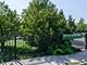 1752 W Surf, Chicago, IL 60657