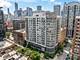421 W Huron Unit 503, Chicago, IL 60654