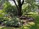 4708 Woodward, Downers Grove, IL 60515