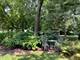 4708 Woodward, Downers Grove, IL 60515